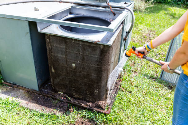 Best Residential Air Duct Cleaning  in Belle Isle, FL